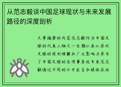 从范志毅谈中国足球现状与未来发展路径的深度剖析