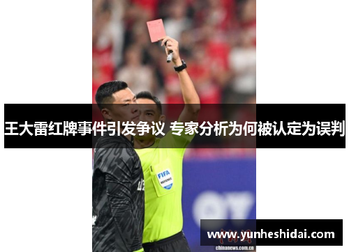 王大雷红牌事件引发争议 专家分析为何被认定为误判 王大雷红牌事件引发争议 专家分析为何被认定为误判