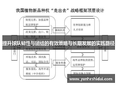 提升球队韧性与团结的有效策略与长期发展的实践路径 提升球队韧性与团结的有效策略与长期发展的实践路径